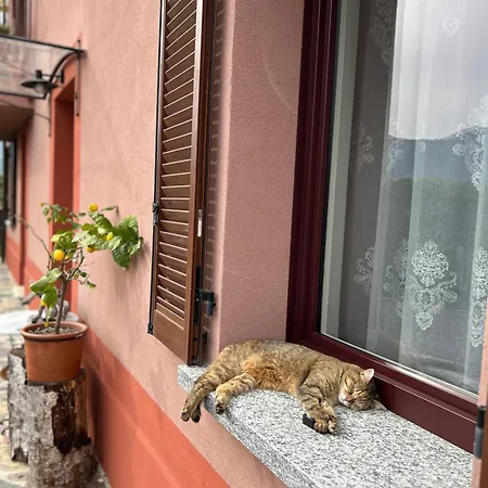 Il Mallo - Bed & Breakfast *