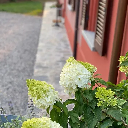 Il Mallo - לינה וארוחת בוקר