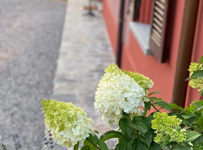 Il Mallo - Bed & Breakfast